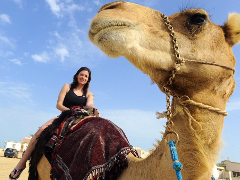 Camel Hie Dubai_rent a camel near me