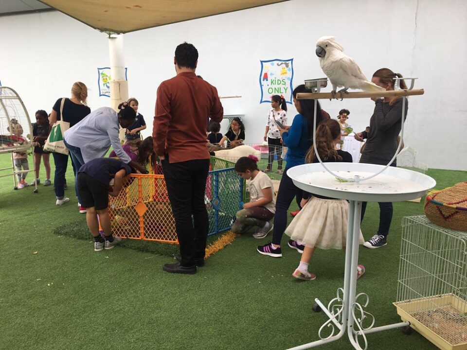 Petting Zoo Rental Dubai Home Petting Animal Party Hire UAE