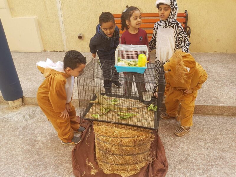 Petting Zoo Rental Dubai UAE