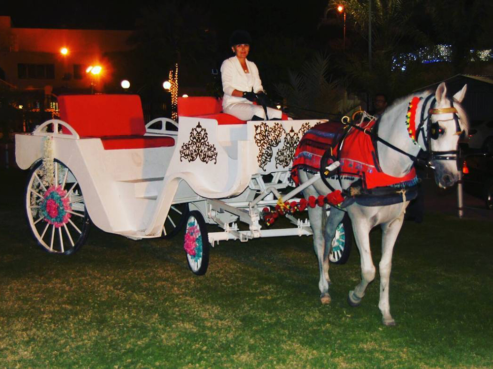 cinderella carriage rental dubai uae