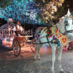 Horse Carriage Rental Dubai UAE