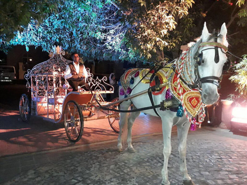 Horse Carriage Rental Dubai UAE
