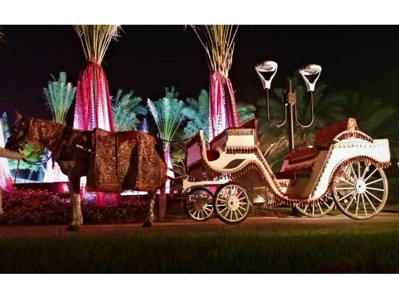 horse drawn carriage rental