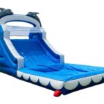 Dolphin Water Slide Rental Dubai UAE