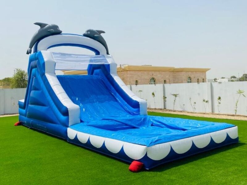 Water Slide For Hire in Dubai UAE Dolphin