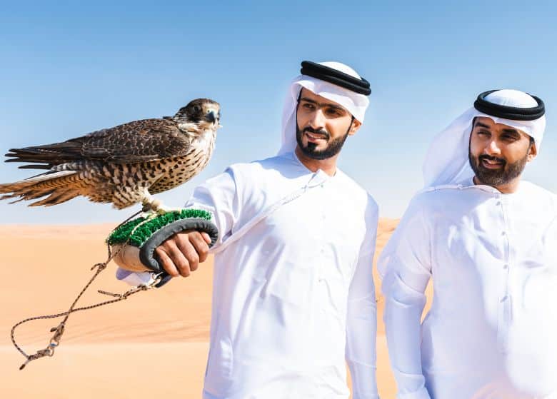 UAE Falcon Display for Hire