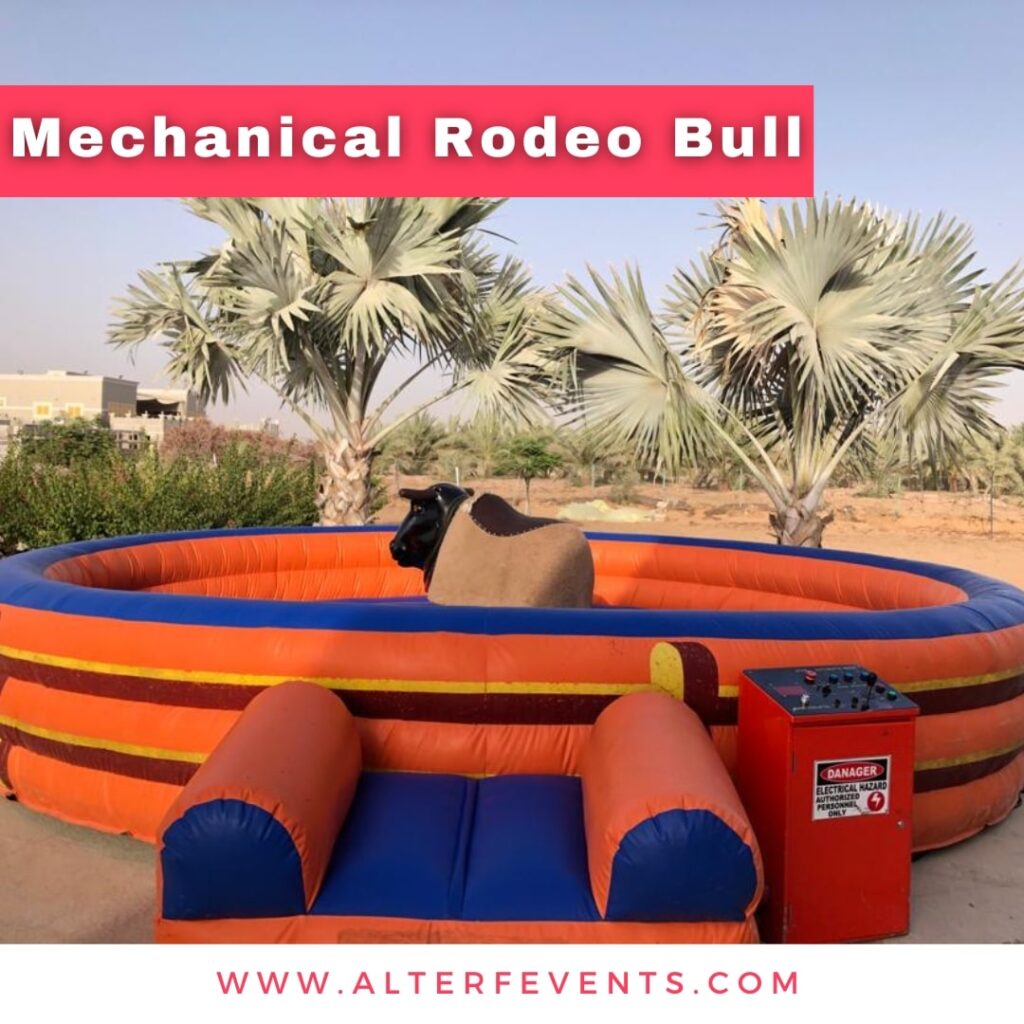 rodeo bull hire